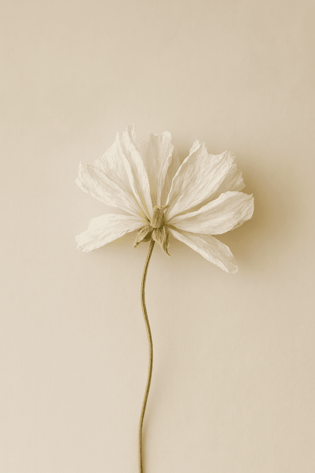 Clean AI - Sustainable technology